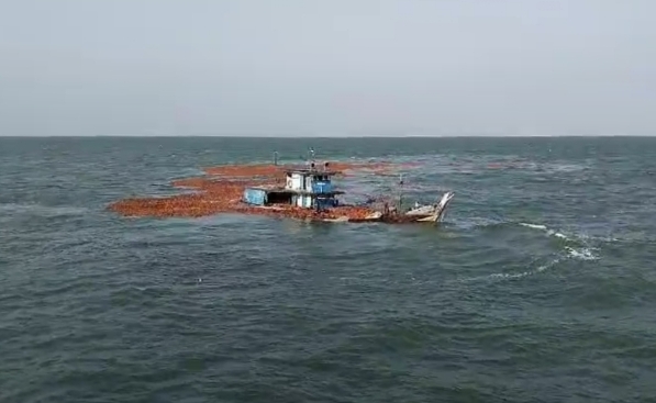 Kapal Bermuatan 160 Ton Kelapa Tenggelam Diterjang Ombak di Perairan Pulau Rangsang 