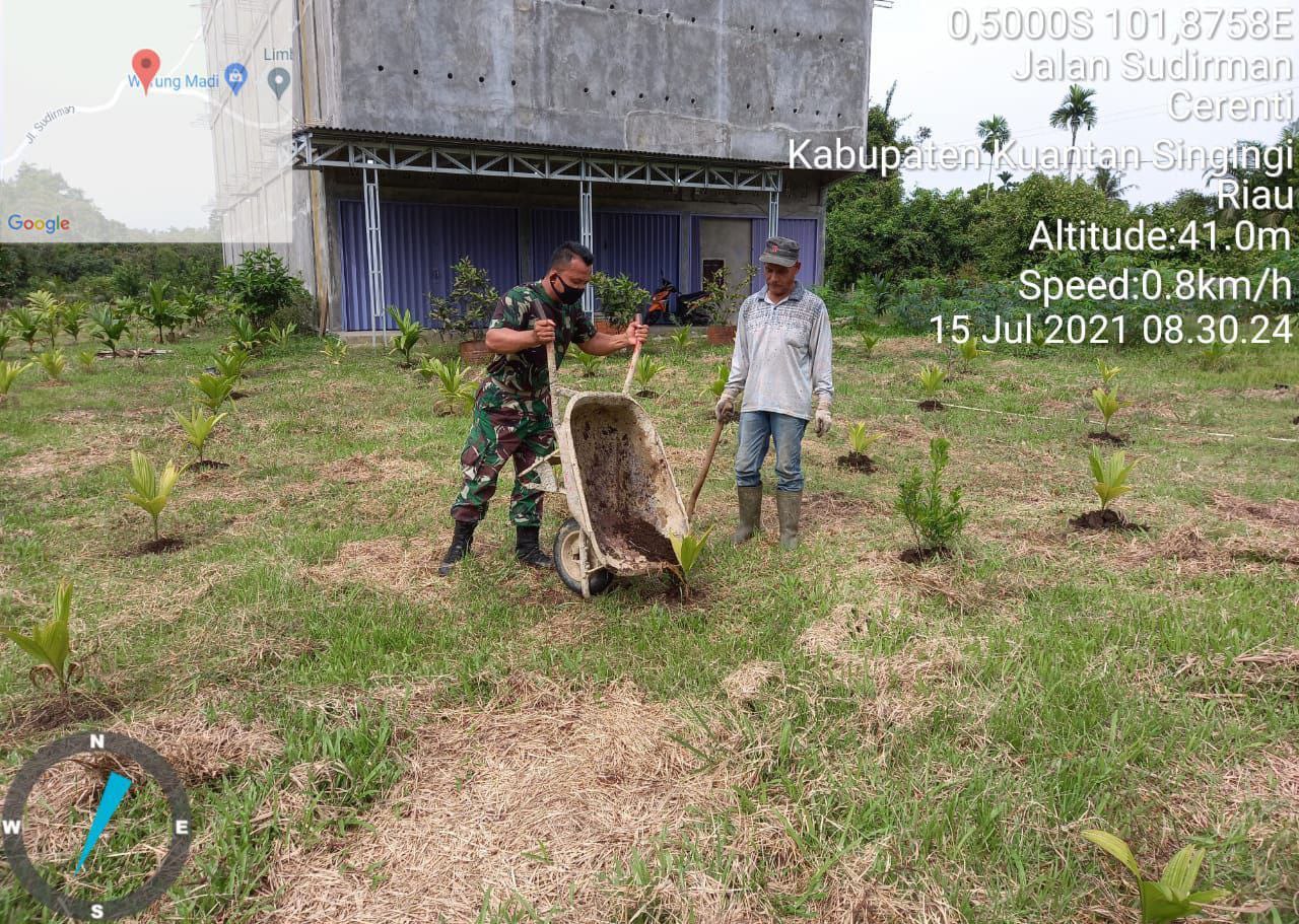 Lestarikan Kearifan Lokal, Babinsa Kopda Irwan Bantu Warga Untuk Pupuk Anak Pinang Dikebun