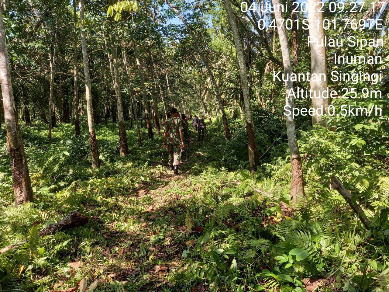 Babinsa Koramil 06/Cerenti Kodim 0302/Inhu Patroli Karhutla Bersama Warga Antisipasi Kebakaran Hutan Dan  Lahan di Pulau Sipan Kecamatan Inuman