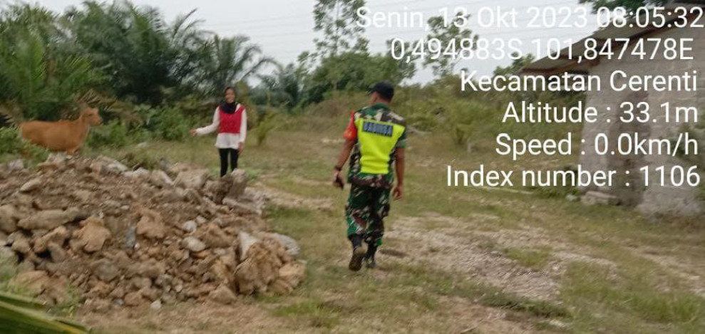 Serda Jama Anur Cek Kesehatan Sapi di Desa Pulau Panjang, Cerenti untuk Antisipasi PMK