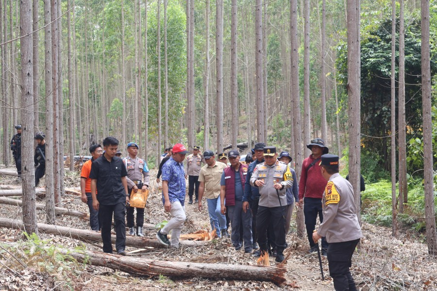 Turun ke TKP Gajah Dibunuh, Kapolda Riau Tegaskan Pelaku Akan Ditindak Tanpa Kompromi
