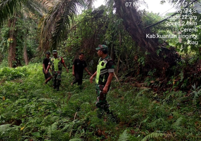 Setiap Hari Anggota Koramil 06/Cerenti Kodim 0302/Inhu Tingkatkan Pengawasan Karlahut, Melaksanakan Patroli  Sosialisasi Kepada Masyarakat