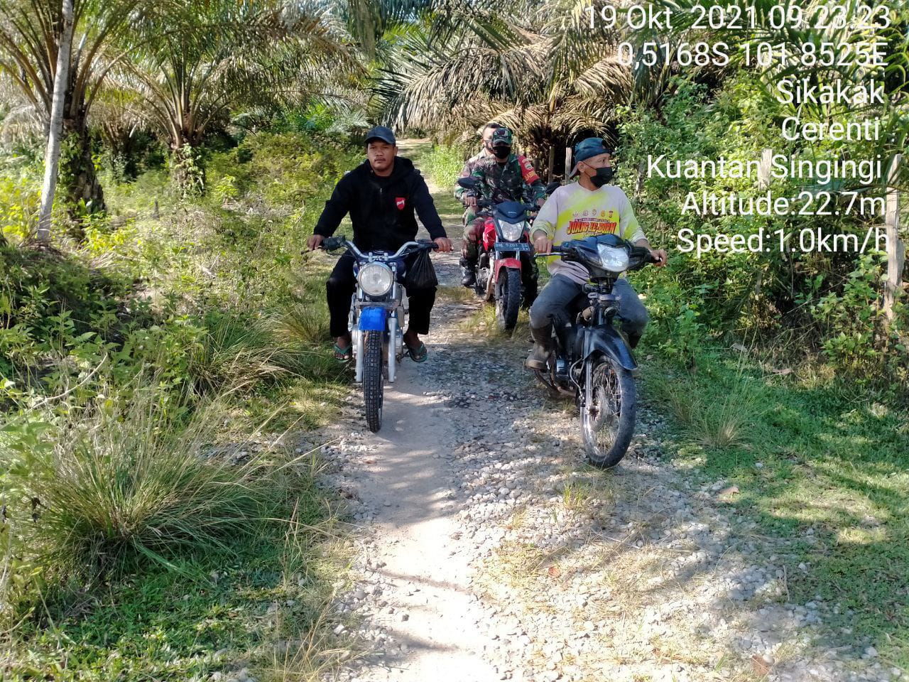 Babinsa Koramil 06 Cerenti Kodim 0302 Inhu Gandeng Warga,Babinsa Laksanakan Sosialisasi Dan Patroli Untuk Antisipasi Karlahut