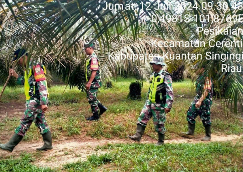 Di Desa Pesikaian Serda Juanda Dan Kopda Mohamad Soleh Babinsa Koramil 06/Cerenti Kodim 0302/Inhu Laksanakan Patroli Untuk Cegah Kebakaran Hutan Dan Lahan