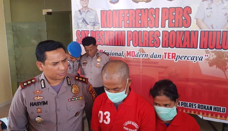 Satresnarkoba Polres Rohul Ringkus Pasutri Jaringan Pengedar Ganja