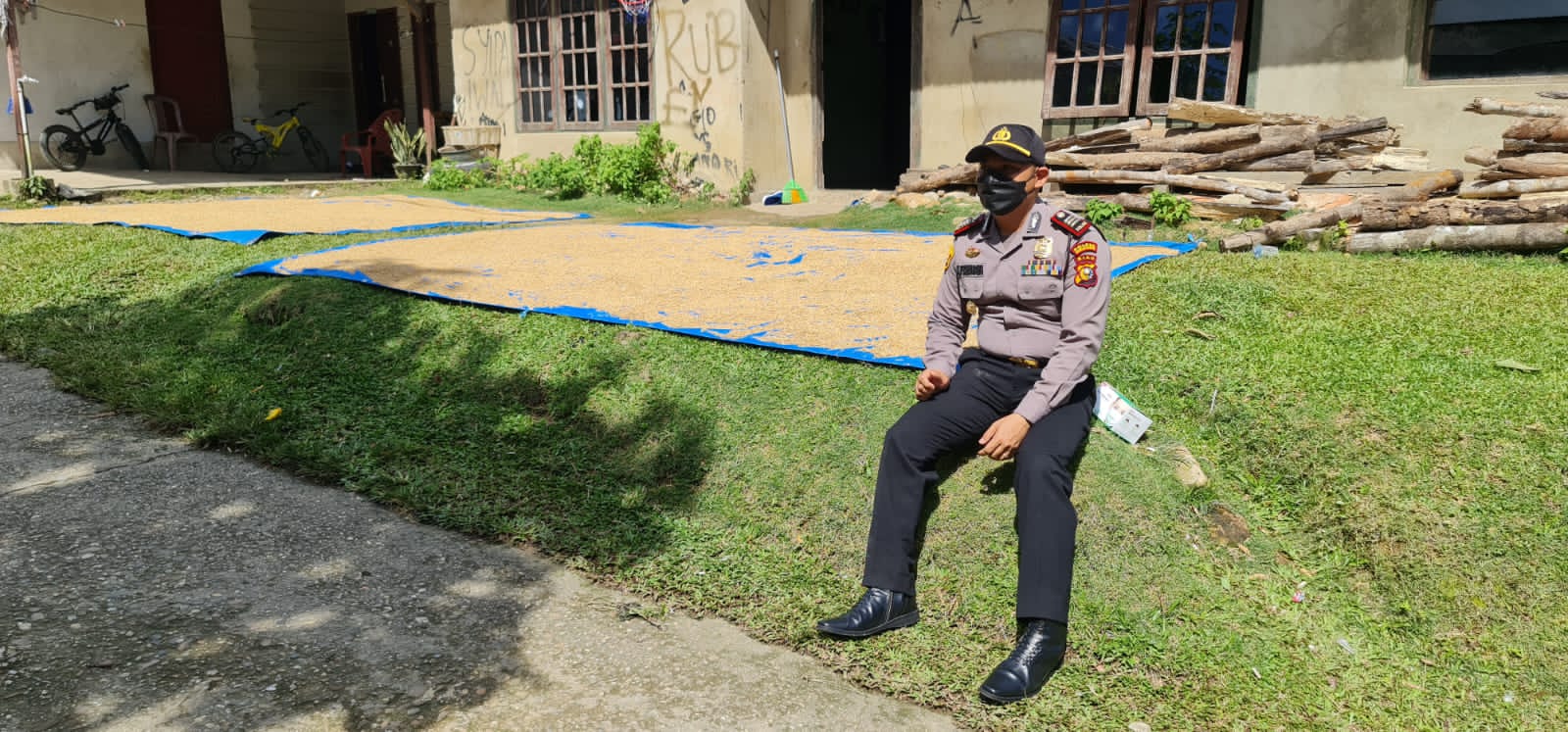 Kapolsek Singingi Bantu Ibu Isra Untuk Menjaga Jemuran Padinya Saat Ibu Isra Hendak di Vaksinasi