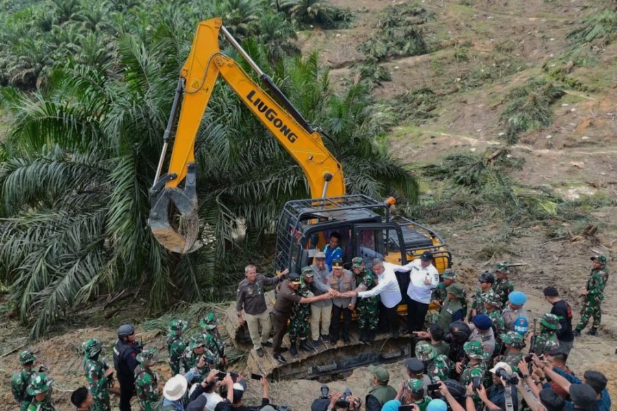 Sawit Ilegal Dimusnahkan, Harapan Baru untuk Tesso Nilo Dimulai