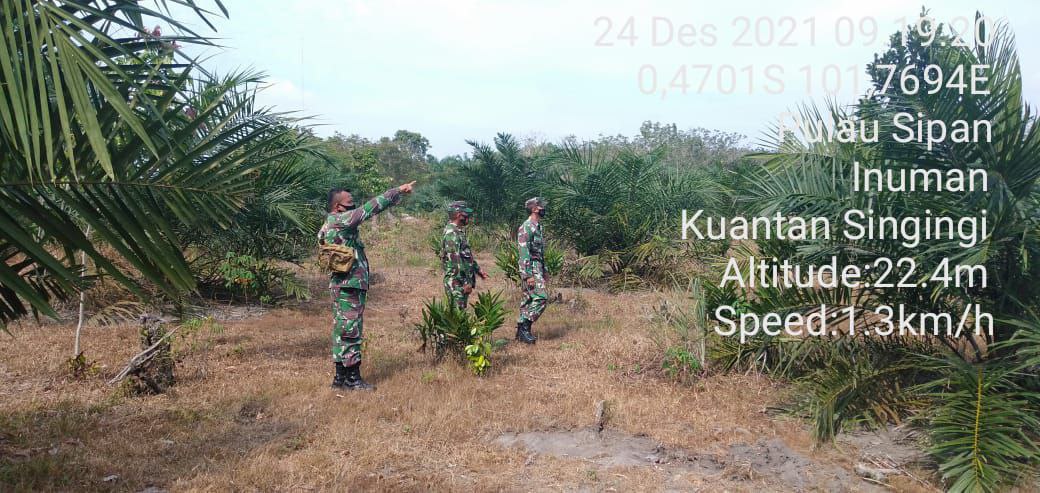 Babinsa Koramil 06/Cerenti Kodim 0302/Inhu Wilayah Kecamatan Inuman Gencarkan Patroli Karlahut Di Desa Pulau Sipan