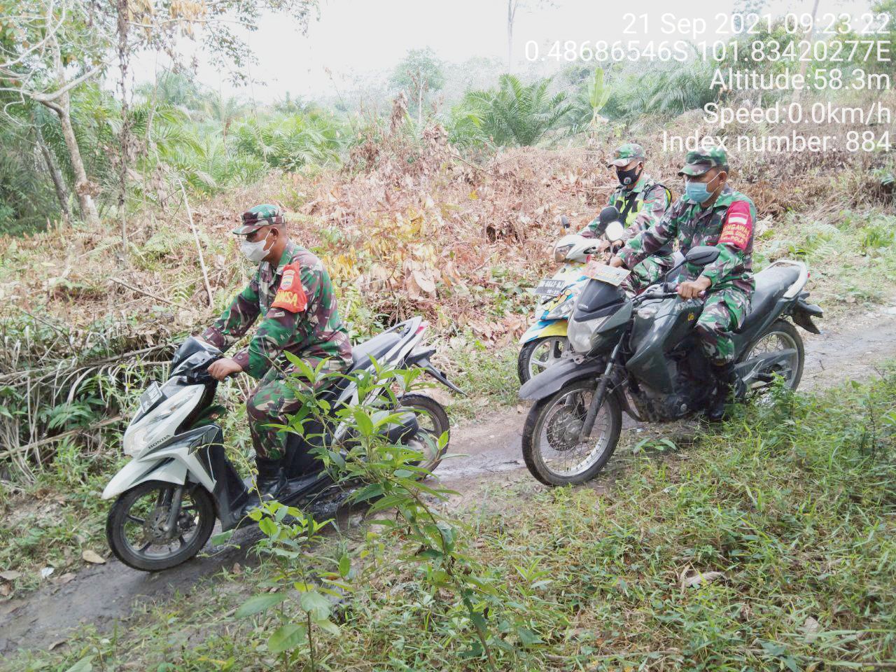 Sertu Firman Babinsa Koramil 06/Cerenti Kodim 0302/ Inhu Laksanakan Patroli Untuk Cegah Kebakaran Hutan Dan Lahan di Wilayah Teritorialnya