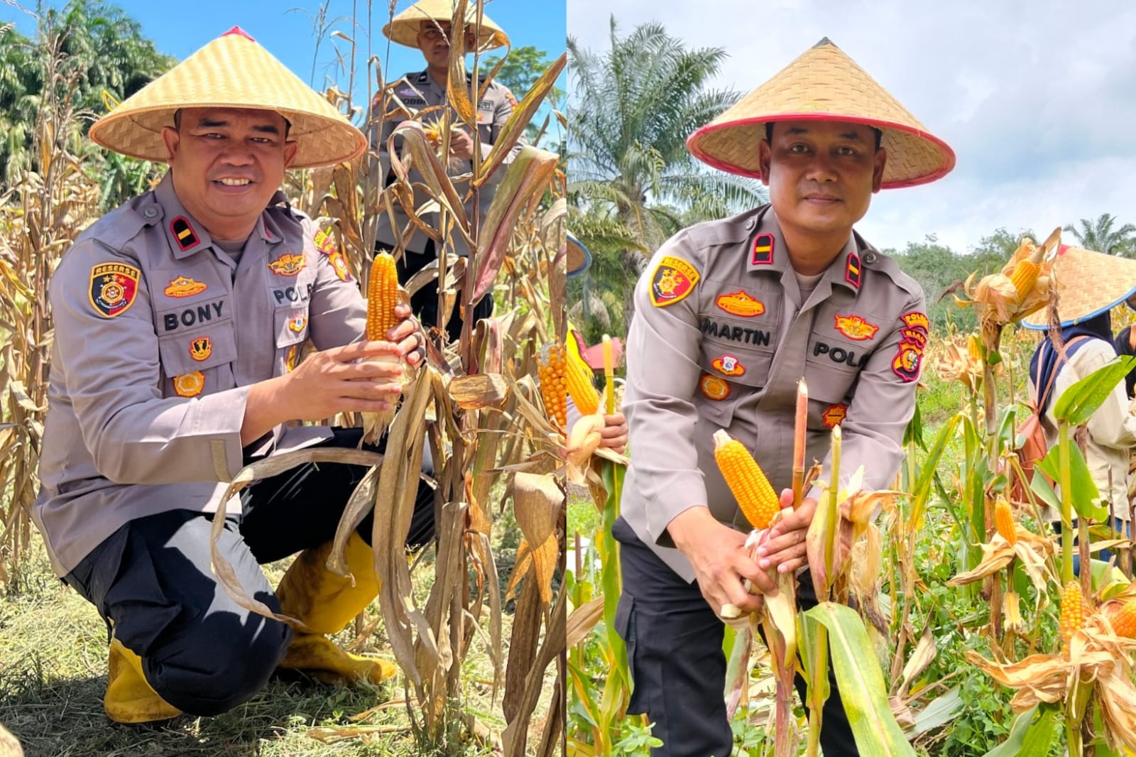 Dua Perwira Polisi Rokan Hilir Hidupkan Ekonomi Warga Lewat Program Ketahanan Pangan Polri