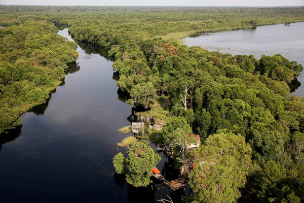 Sumsel Bakal Jadi Tuan Rumah Forum Restorasi Hutan Dunia
