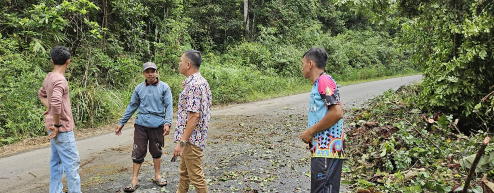 Atasi Pohon Tumbang Di Hutan Lindung;  Camat Sentajo Raya Apresiasi Respon Cepat Kadis DLH