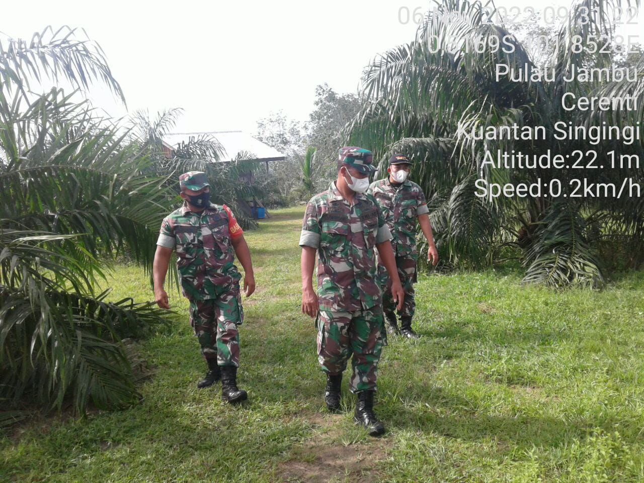 Cegah Kebakaran Lahan Dan Hutan, Babinsa Koramil 06/Cerenti Dim 0302/Inhu Wilayah Cerenti Tetap Laksanakan Patroli Karhutla