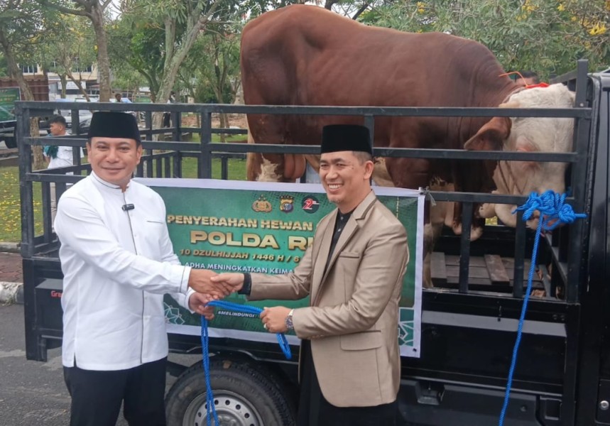 Kapolda Riau Lepas Distribusi Hewan Kurban: 151 Sapi dan 48 Kambing Disalurkan ke Masjid dan Ponpes
