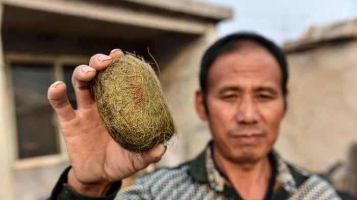 Temukan Batu 'Ajaib', Bo Warga Desa di China Mendadak Kaya 