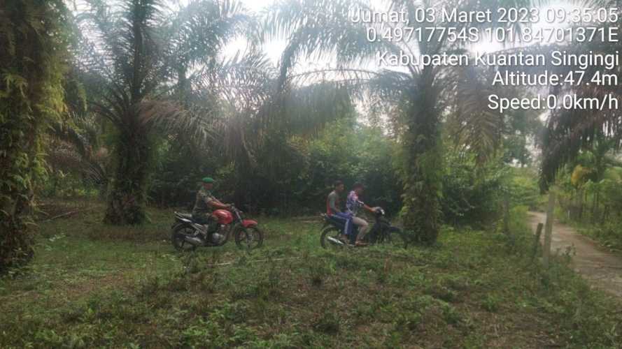 Anggota Babinsa Koramil 06/Cerenti Kodim 0302/Inhu,Serda Juanda Laksanakan Patroli Untuk Cegah Kebakaran Hutan Dan Lahan