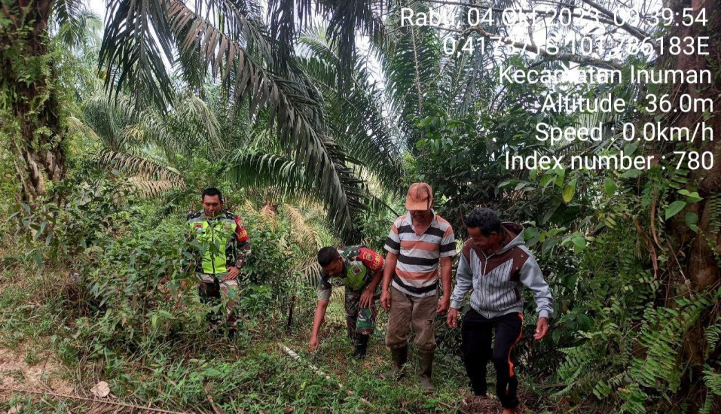 Di Kompe Berangin Kecamatan Cerenti Kabupaten Kuansing, Kopda Junedi Babinsa Koramil 06/Cerenti Kodim 0302/Inhu Laksanakan Patroli Untuk Cegah Kebakaran Hutan Dan Lahan