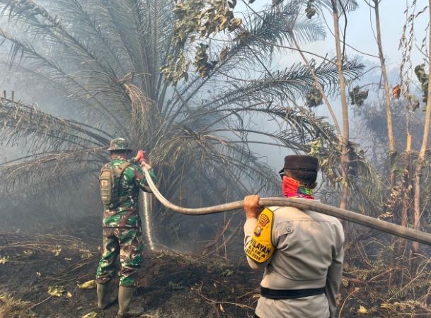 26 Hektare Lahan di Rohil Terbakar, TNI Polri Berjibaku Padamkan Api