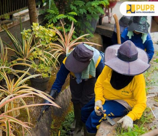 Tim OP Bina Marga PUPR Kota Pekanbaru Bersihkan Drainase di Jalan Akasia hingga Sungai Bata