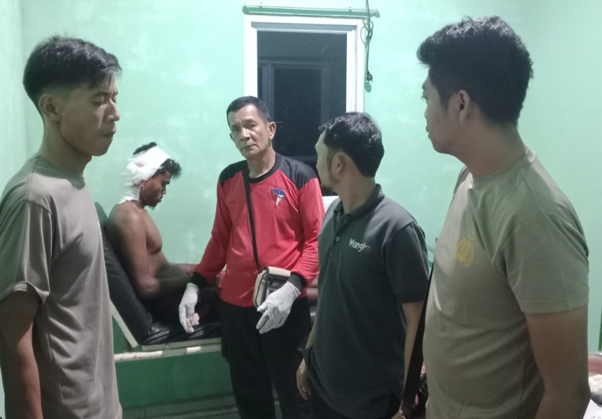 Kohai Luka Parah Diterkam Harimau Sumatera saat Bersandar di Dermaga