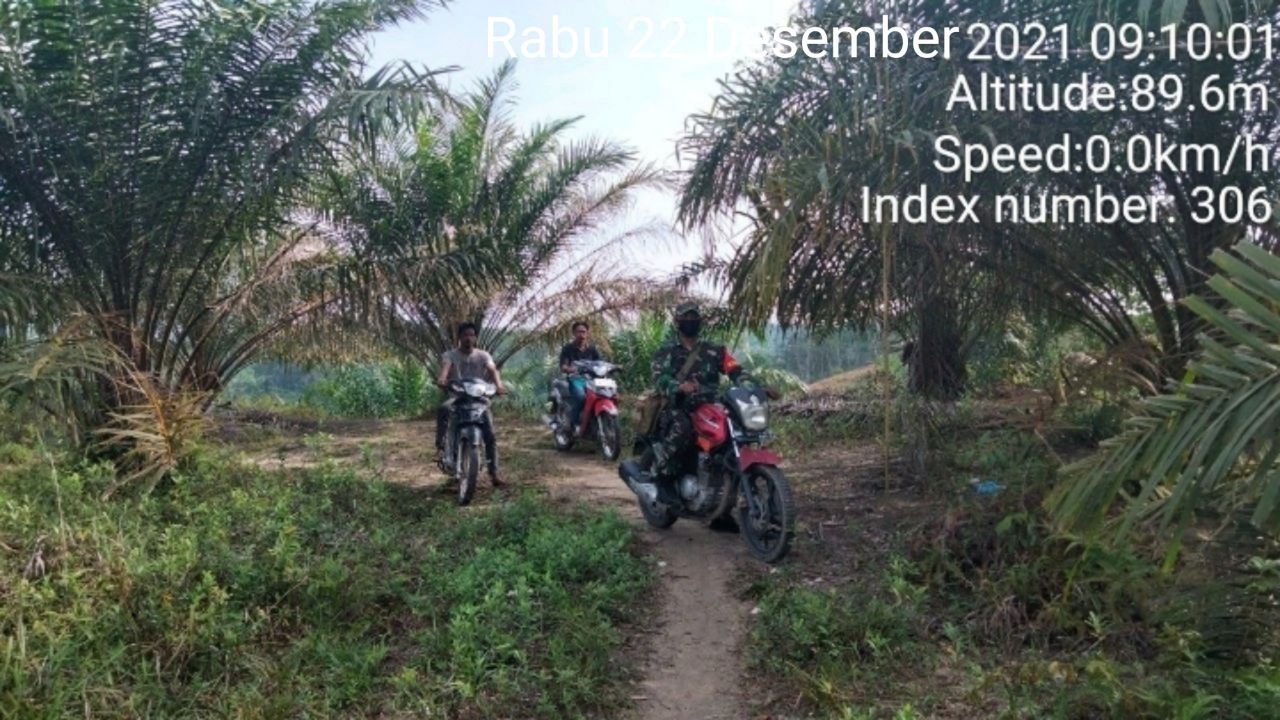 Babinsa Koramil 06/Cerenti Dim 0302/Inhu Gelar Patroli Dan Sosialisasi Pencegahan Karhutla di Kampung Baru Timur Kecamatan Cerenti