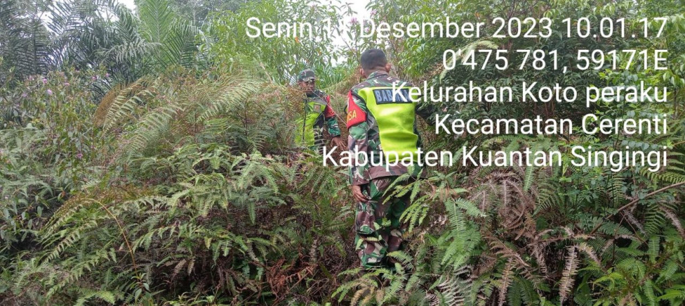 Para Babinsa Koramil 06/Cerenti Kodim 0302/Inhu Laksanakan Patroli Dan Sosialisasi Karhutlah di Kelurahan Koto Peraku