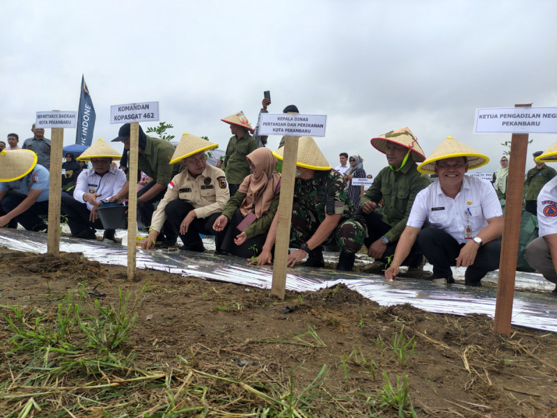 Pj Wali Kota Muflihun Luncurkan Pekanbaru Bertani dan Canangkan Gerakan Menanam Cabai