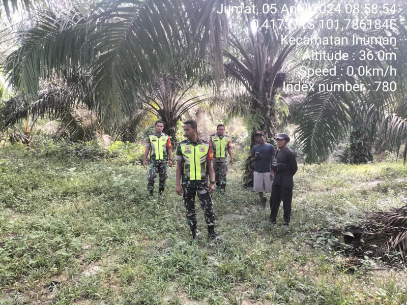 Babinsa Koramil 06/Cerenti Kodim 0302/Inhu Patroli Dan Sosialisasi Bahaya Karhutla di Ketaping Jaya 