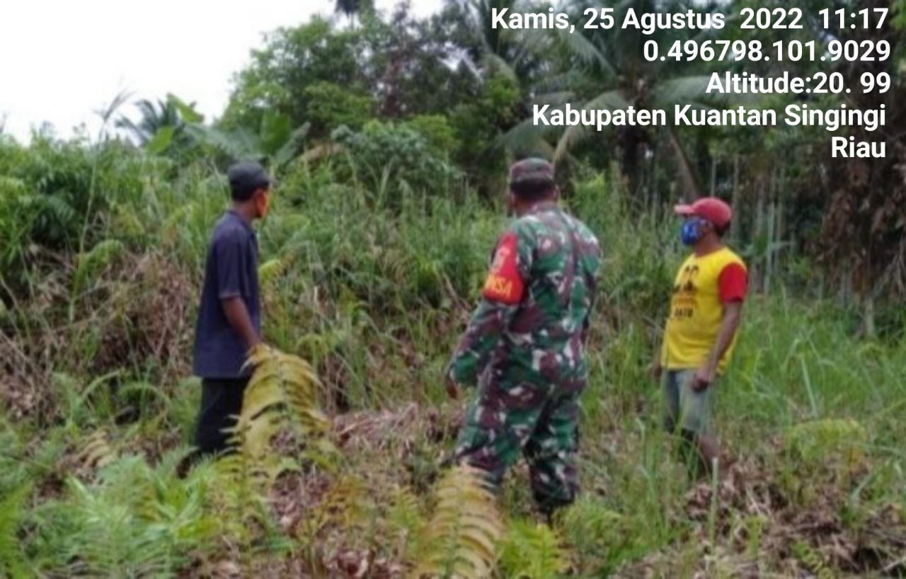 Babinsa Koramil 06/Cerenti Kodim 0302/Inhu Telusuri Wilayah Binaan Untuk Antisipasi Karhutlah, Babinsa Koramil 06/Cerenti Ajak Warga Ikut Patroli di Desa Sigaruntang Kecamatan Inuman