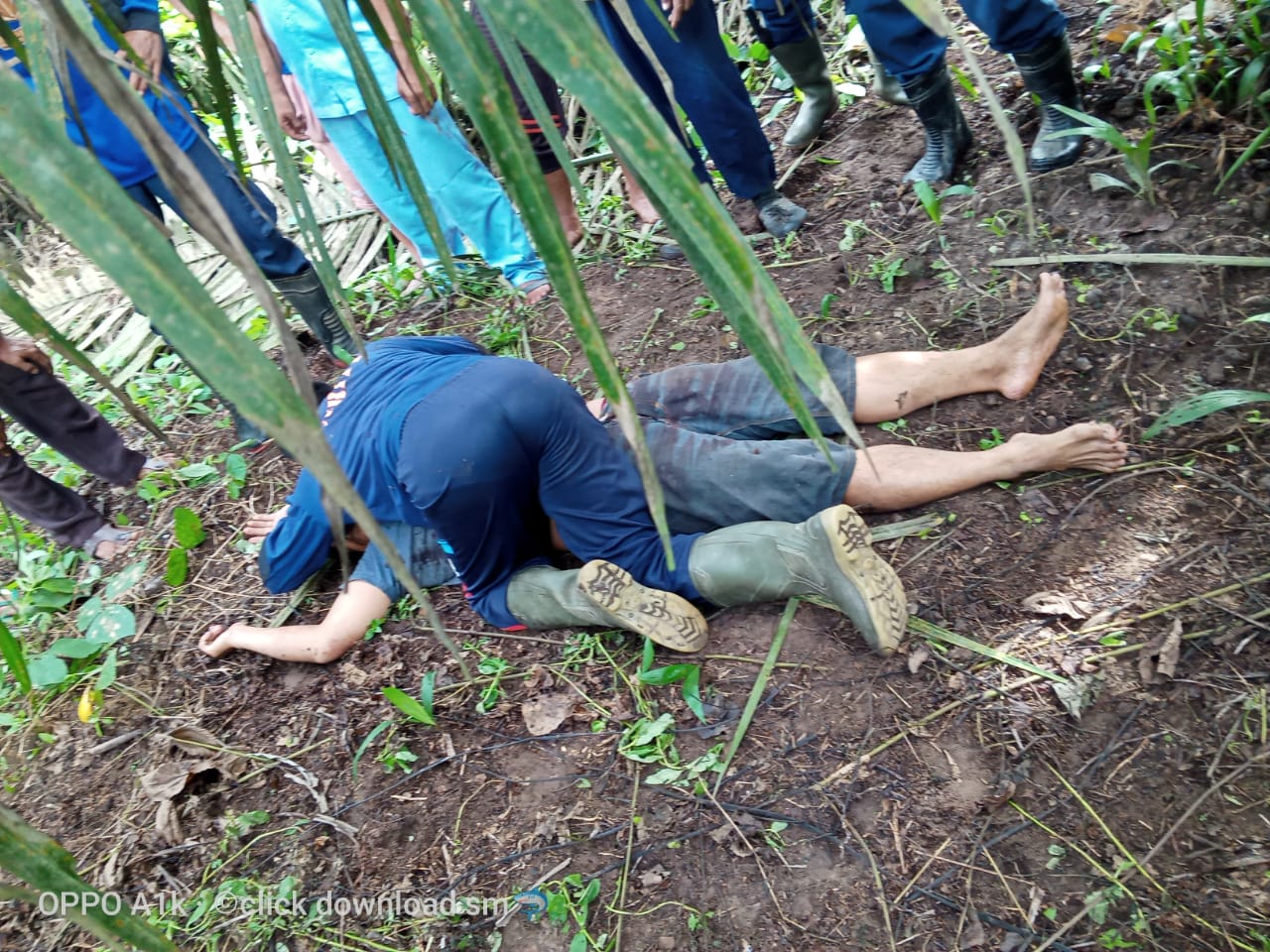Seorang Karyawan PT Padasa Enam Utama Kalsa  Kabun Bermarga Sijabat Ditemukan Terkapar Dengan Sejumlah Bekas Tusukan Senjata Tajam Di Tubuhnya.