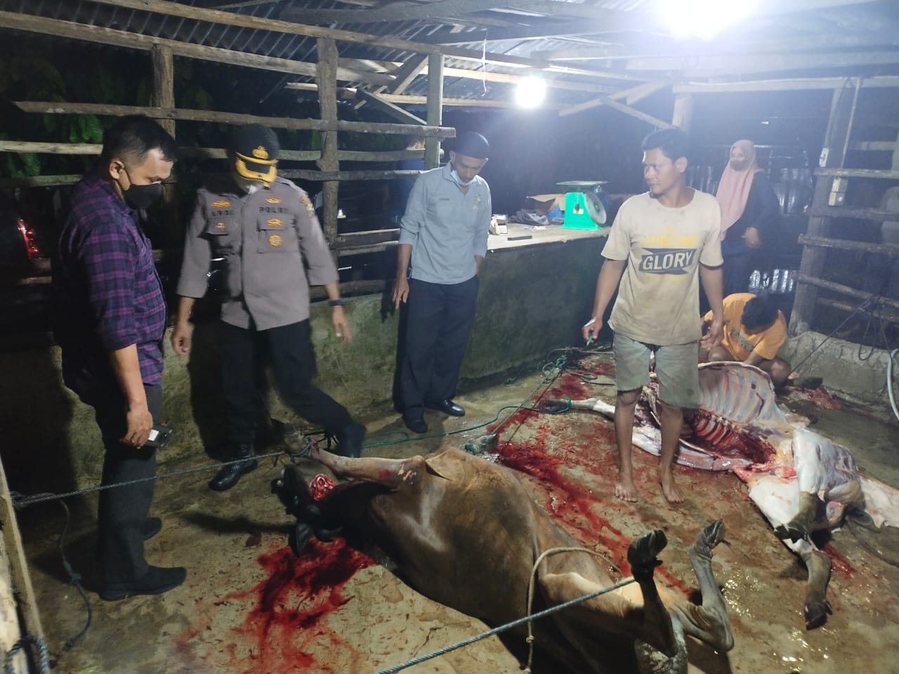 Tim Terpadu Provinsi Riau lakukan WASDAL Pemotongan Hewan Betina Produktif di TPH