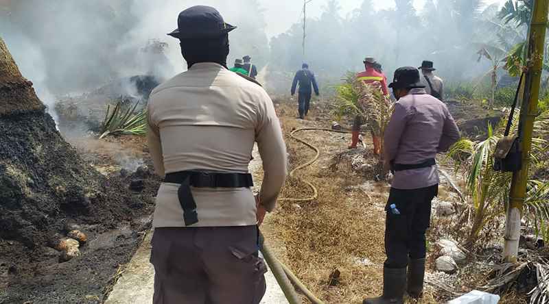 Cepat Tanggap, Polsek Kuala Kampar Turun Langsung Padamkan Karhutla