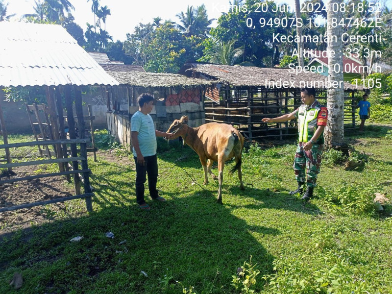 Praka Fardan Nur Riski Sinaga Babinsa Koramil 06/Cerenti Kodim 0302/Inhu Pantau Dan Cek Ternak Warga Antisipasi PMK Di Desa Pesikaian 
