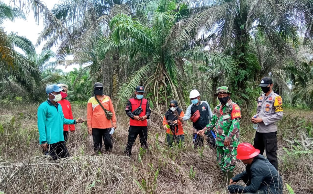 Giat Patroli, Kapolsek Teluk Meranti: Memantau, Mengawasi dan Meminimalisir Terjadinya Karhutla