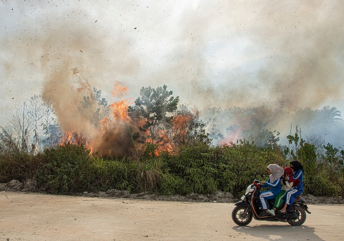 Kebakaran Lahan Kepung Perumahan di Kampar, Warga Berhamburan Keluar