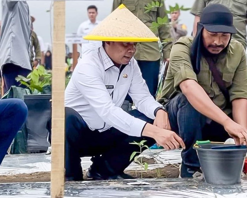 Tekan Angka Inflasi, Pj Wali Kota Muflihun Canangkan Gerakan Menanam Cabai