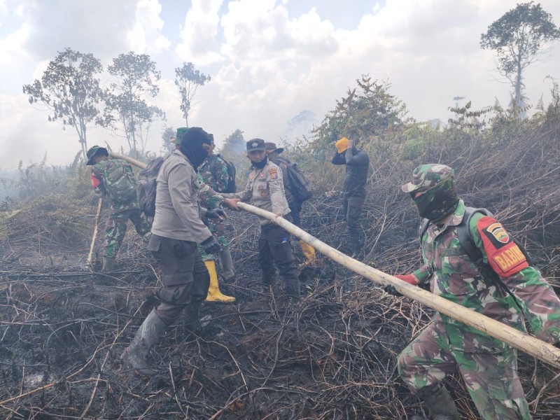 Titik Api Menurun, Polda Riau Perkuat Kolaborasi Cegah Karhutla