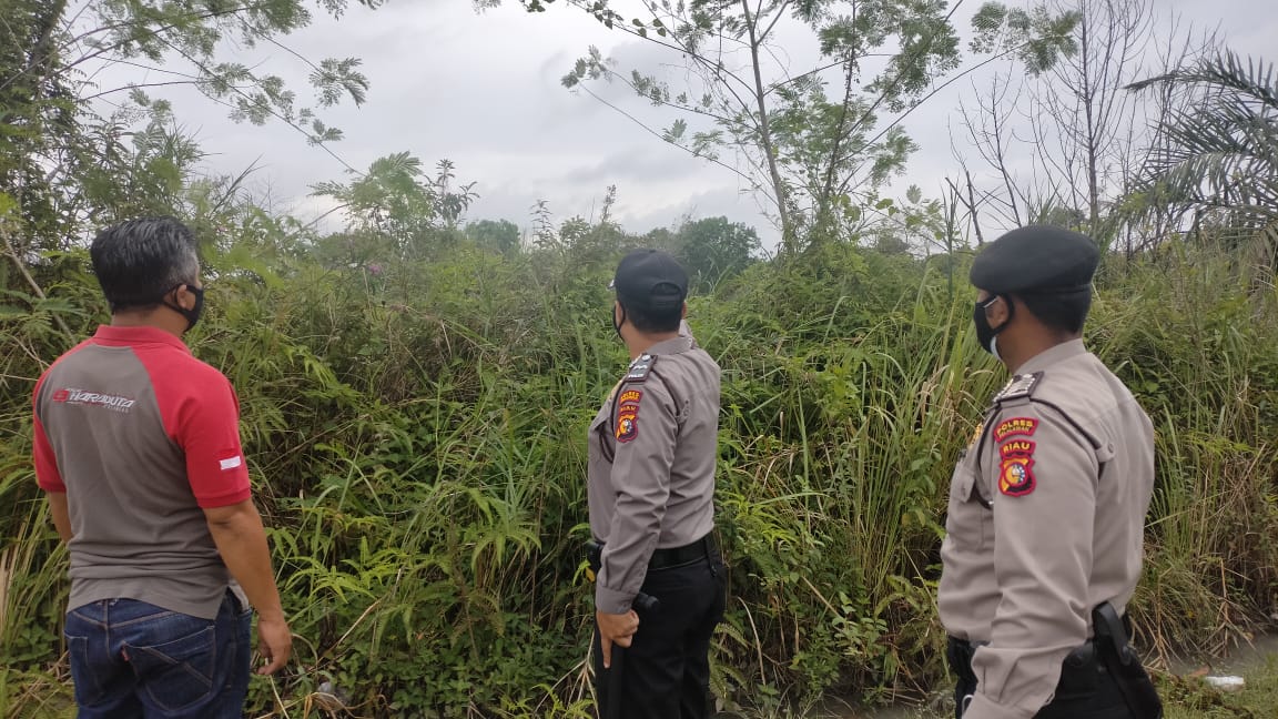 Patroli Karhutla, Polsek Pangkalan Kerinci Cek Hutan di Kawasan Jalan Lingkar