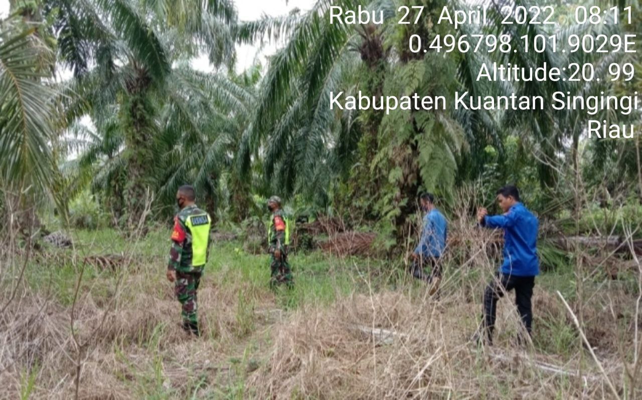 Babinsa Koramil 06/Cerenti Kodim 0302/Inhu Laksanakan Patroli Karhutla di Desa Pasar Inuman Kecamatan Inuman