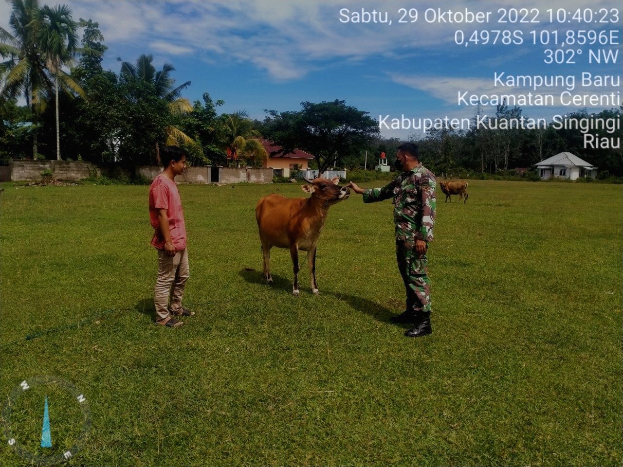 Babinsa Koramil 06/Cerenti Kodim 0302/Inhu,Pantau Sapi Warga Binaannya Untuk Mengantisipasi Penularan Penyakit Mulut Dan Kaki (PMK) Sapi