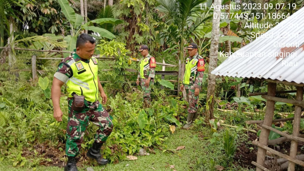 Babinsa Koramil 06/Cerenti Kodim 0302/Inhu Tingkatkan Pengawasan Karlahut Melaksanakan Patroli Dan  Sosialisasi Kepada Masyarakat Di Wilayah Teritorialnya