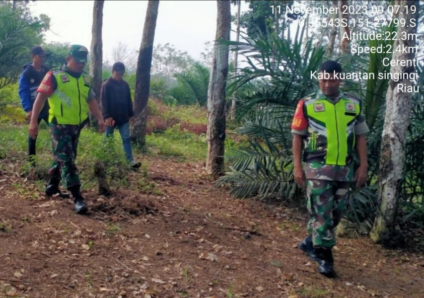 Tingkatkan Pengawasan Karlahut, Para Babinsa Koramil 06/Cerenti Kodim 0302/Inhu Melaksanakan Patroli dan Sosialisasi Kepada Masyarakat di Desa Koto Cerenti