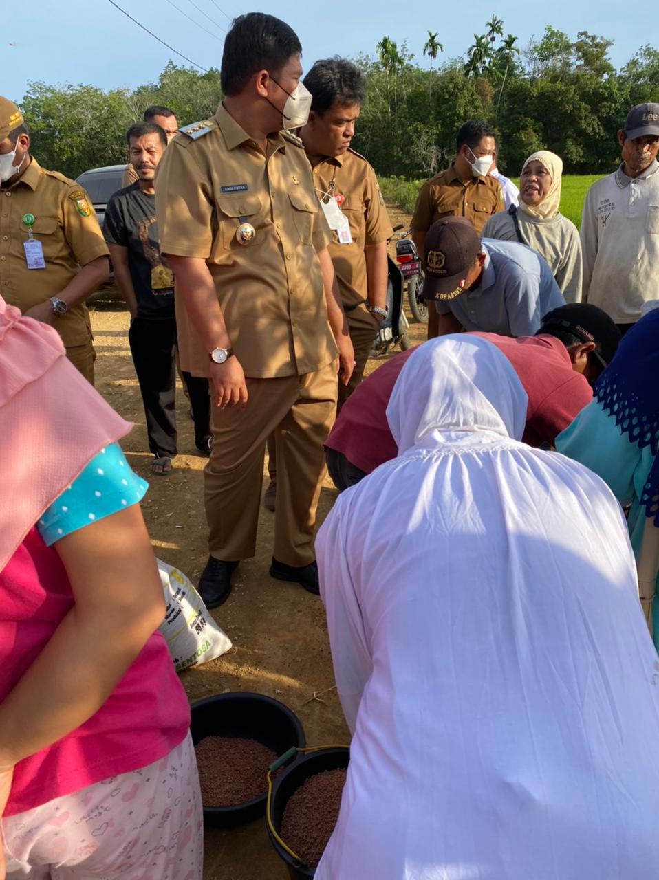 Dukung Pergerakan Ekonomi Masyarakat  Bupati Semangati Petani  Padi Di Gunung Kesiangan