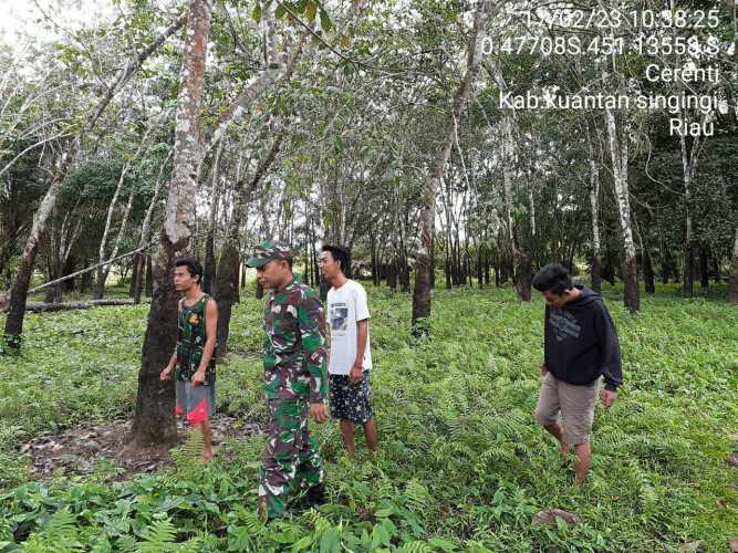 Tingkatkan Pengawasan Karlahut, Babinsa Koramil 06/Cerenti Dim 0302/Inhu Laksanakan Patroli dan Sosialisasi Kepada Masyarakat Kecamatan Cerenti