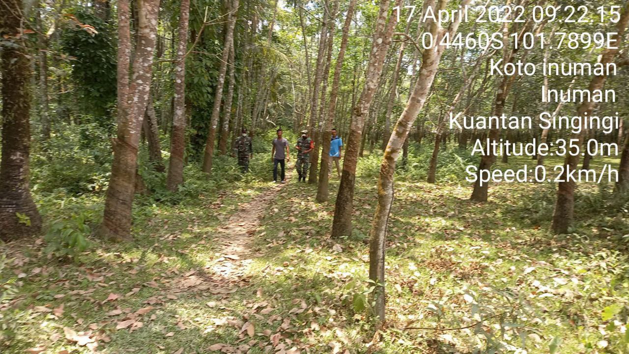 Walaupun Dalam Suci Ramadhan, Babinsa Koramil 06/Cerenti Kodim 0302/Inhu, Lakukan Upaya Pencegahan Dengan Rutin Patroli Dan Sosialisasi Karhutla