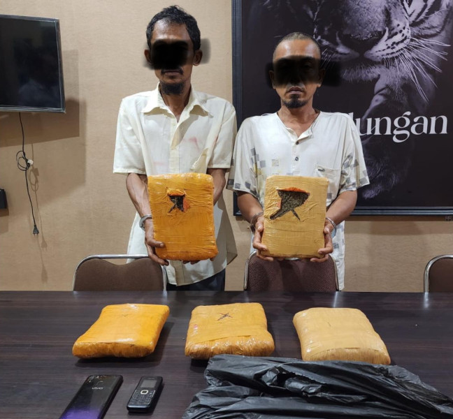 2 Pria di Rohil Ditangkap Polisi, 5 Kg Ganja Kering Disita