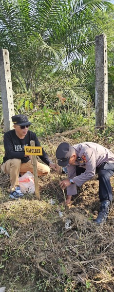 Dukung Program Kapolda Riau;  Camat Sentajo Raya Bersama Polsek Benai dan Kuantan Tengah Tanam 200 Pohon