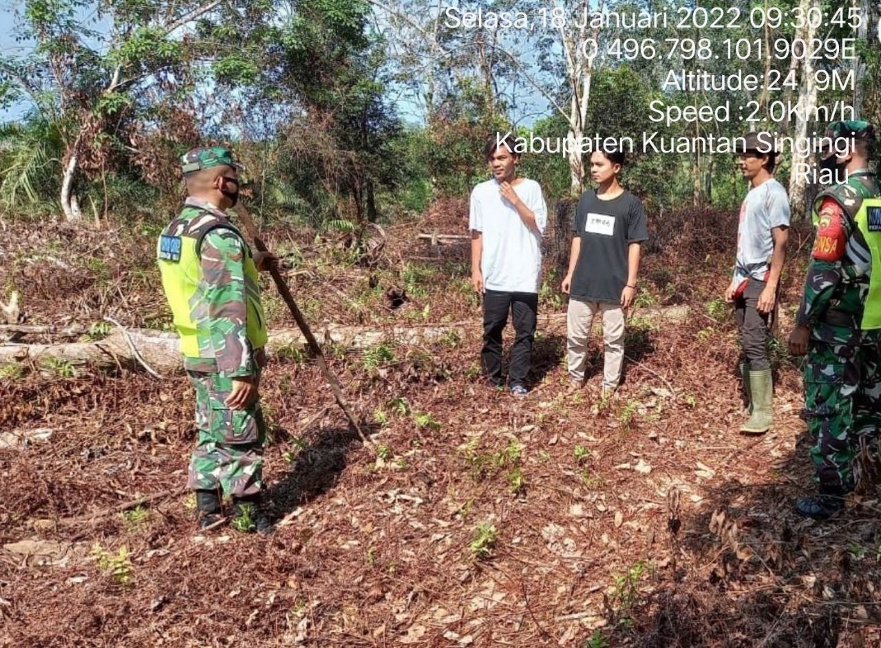 Cegah Karhutla Babinsa Koramil 06/Cerenti Kodim 0302/Inhu Patroli Karhutla di Desa Kampung Baru Koto
