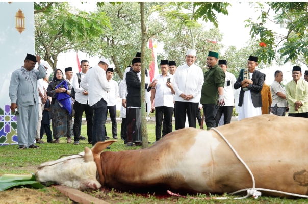 Idul Adha 1445 Hijriah, Polda Riau Salurkan 52 Hewan Kurban 