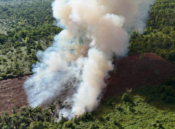 Karhutla Landa KITB Siak, Empat Hektare Lahan Gambut Terbakar